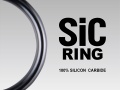 Fuji SIC